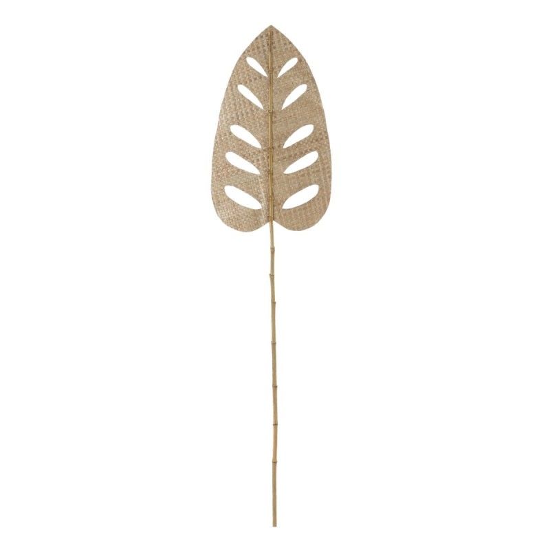 Branche Naturel Volet 43 x 1 x 200 cm