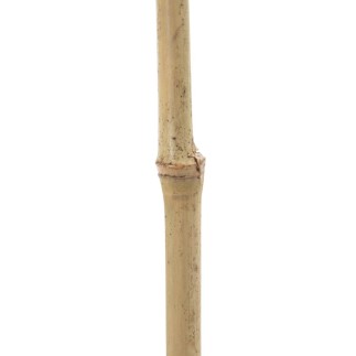 Branche Naturel Volet 43 x 2 x 200 cm