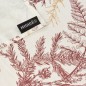 Nappe enduite antitache Mauré Christmas 140 x 140 cm