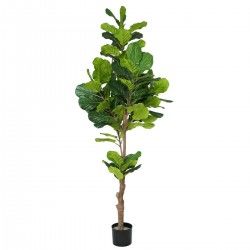 Planta Decorativa Poliuretano Cemento Ficus 200 cm