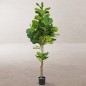 Plante décorative Polyuréthane Ciment Ficus 200 cm