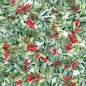 Nappe enduite antitache Mauré Christmas 100 x 140 cm