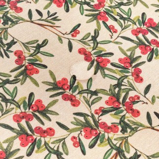 Nappe enduite antitache Mauré 100 x 140 cm