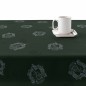 Nappe enduite antitache Harry Potter Slytherin 140 x 140 cm