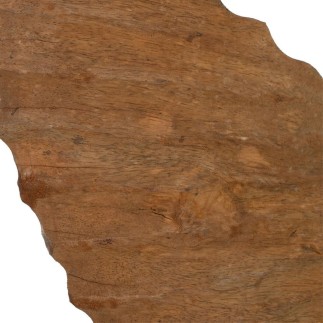 Sculpture Conque Beige 49,5 x 9 x 53,5 cm