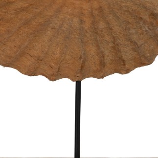 Sculpture Conque Beige 49,5 x 9 x 53,5 cm