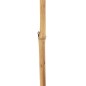 Branche Beige Fleur 8 x 8 x 156 cm