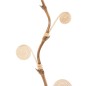 Branche Crème 5 x 0,5 x 190 cm