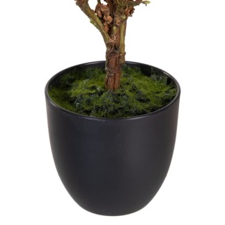 Plante décorative Polyester Polyéthylène Fer 30 x 30 x 60 cm Magnolia
