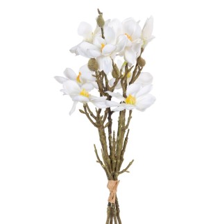 Branche Blanc Vert 37 x 20 x 41 cm Magnolia