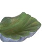 Centre de Table Vert Gris Coquillage 35 x 28 x 12 cm