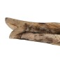 Centre de Table Beige Poisson 76 x 13 x 26 cm