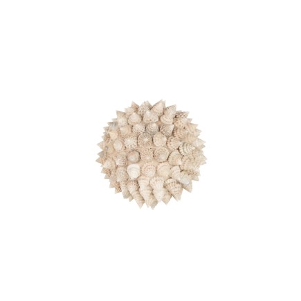 Palla di conchiglie in pietra bianca 13x13x13 cm