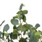 Plante décorative 78 x 68 x 150 cm Vert PVC Eucalyptus