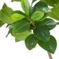 Plante décorative Vert PVC 145 cm Peperomia