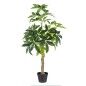 Planta Decorativa 54 x 52 x 120 cm Verde PVC