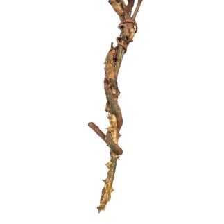 Fleur décorative Vert Rose 30 x 10 x 91 cm
