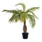 Planta Decorativa Palmera Verde Plástico (100 x 100 x 100 cm)