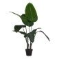 Plante décorative Oiseau de Paradis Vert Plastique (100 x 120 x 100 cm)