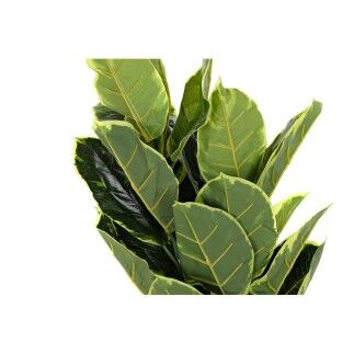 Plante décorative DKD Home Decor Polyéthylène Vert 40 x 40 x 120 cm Urbaine