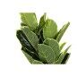 Plante décorative DKD Home Decor Polyéthylène Vert 40 x 40 x 120 cm Urbaine