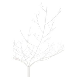 Arbre nu en métal blanc 255*255*250 cm