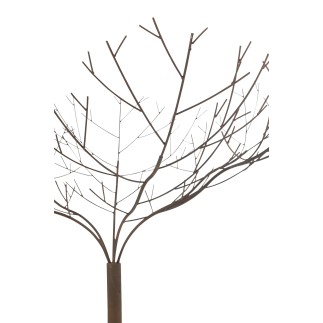 Arbre nu en métal marron 135*135*180 cm