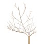 Árvore nua em metal dourado 255x255x250 cm Árvore nua em metal dourado 255x255x250 cm