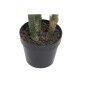 Plante décorative Home ESPRIT PVC 80 x 80 x 100 cm