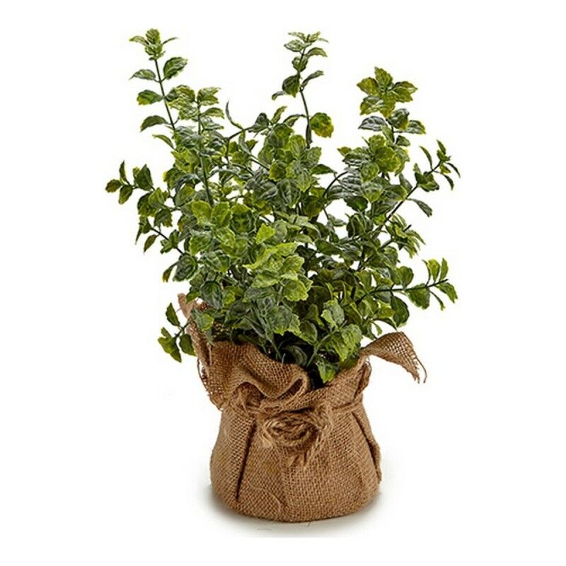 Planta Decorativa Plástico (12 x 31 x 12 cm) (12 x 34 x 12 cm)