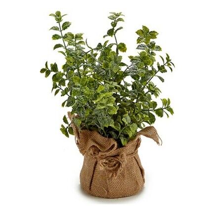 Planta Decorativa Plástico (12 x 31 x 12 cm) (12 x 34 x 12 cm)