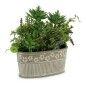 Planta Decorativa Gris Verde Cemento Plástico