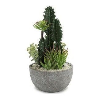 Cactus BIG-S3601496 Cerámica Plástico
