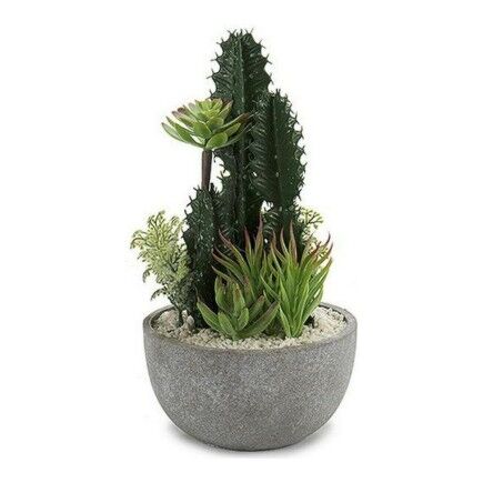 Cactus BIG-S3601496 Cerámica Plástico