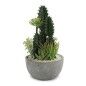 Cactus BIG-S3601496 Cerámica Plástico