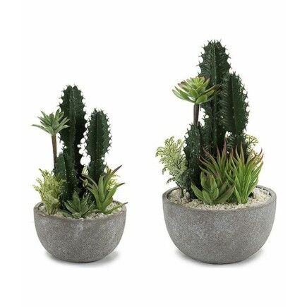 Cactus BIG-S3601496 Cerámica Plástico