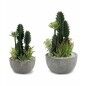 Cactus BIG-S3601496 Cerámica Plástico