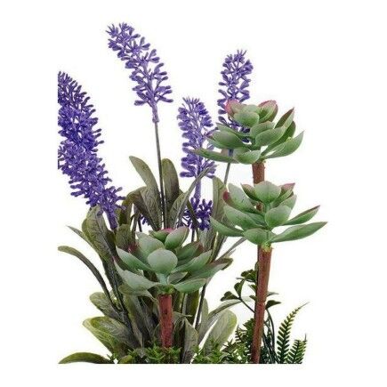 Maceta Gris Morado Cemento Corcho Verde