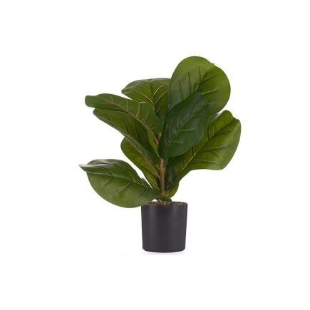 Planta Decorativa 9,5 x 42 x 9,5 cm Negro Verde Plástico