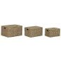 Juego de Cestas Home ESPRIT Natural Metal Fibra natural Tropical 46 x 36 x 26 cm (3 Piezas)