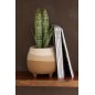 Vaso di fiori pentole beige/marrone chiaro 16x16x15,5 cm Vaso di fiori pentole beige/marrone chiaro 16x16x15,5 cm