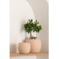 Cache-pot en céramique beige 24x24x22 cm Cache-pot en céramique beige 24x24x22 cm