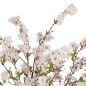 Plante décorative PVC Ciment Tissu 40 x 40 x 140 cm