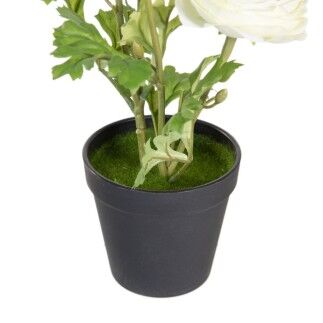 Plante décorative Polyester Polyéthylène Fer Fleur 11 x 11 x 36 cm