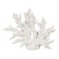 Statua Decorativa Bianco Resina Corallo 34 X 13 X 27 CM