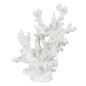 Statua Decorativa Bianco Resina Corallo 17 x 17 x 20 cm