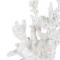 Statua Decorativa Bianco Resina Corallo 17 x 17 x 20 cm