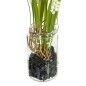 Planta Decorativa Poliéster Polietileno Hierro 7 x 7 x 18 cm