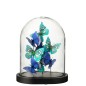 Papillons sous cloche en verre transparent 22x16x28 cm Papillons sous cloche en verre transparent 22x16x28 cm