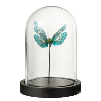 Papillon sous cloche en verre transparent 11.5x11.5x16 cm